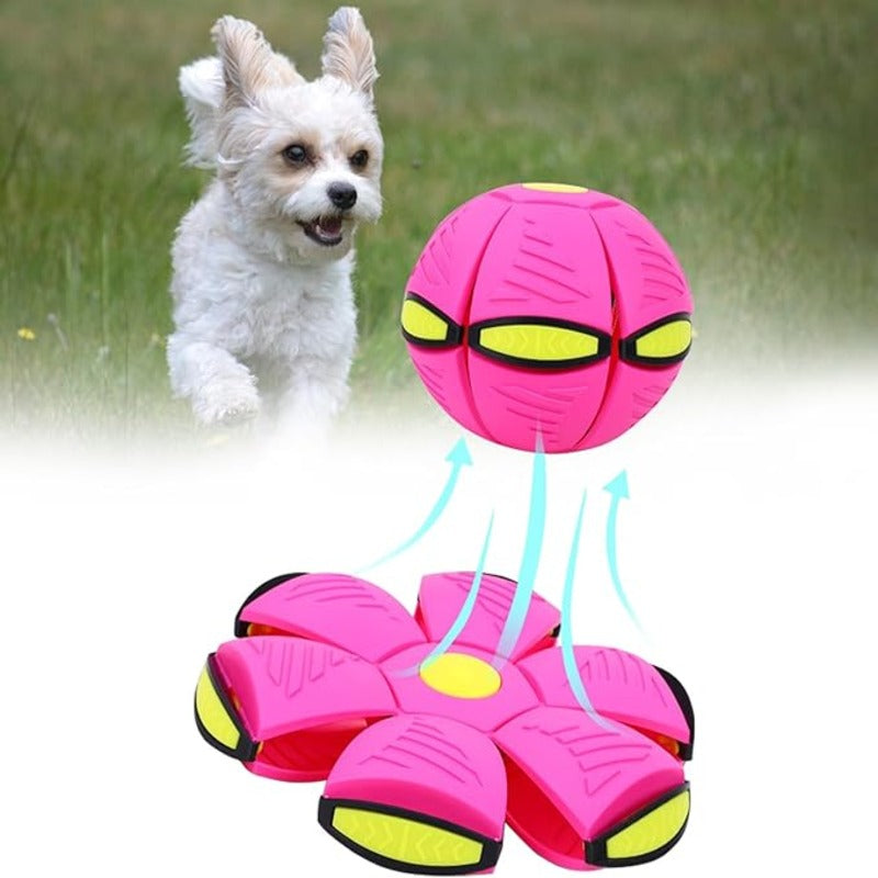 Pawsome - Frisbee Ball